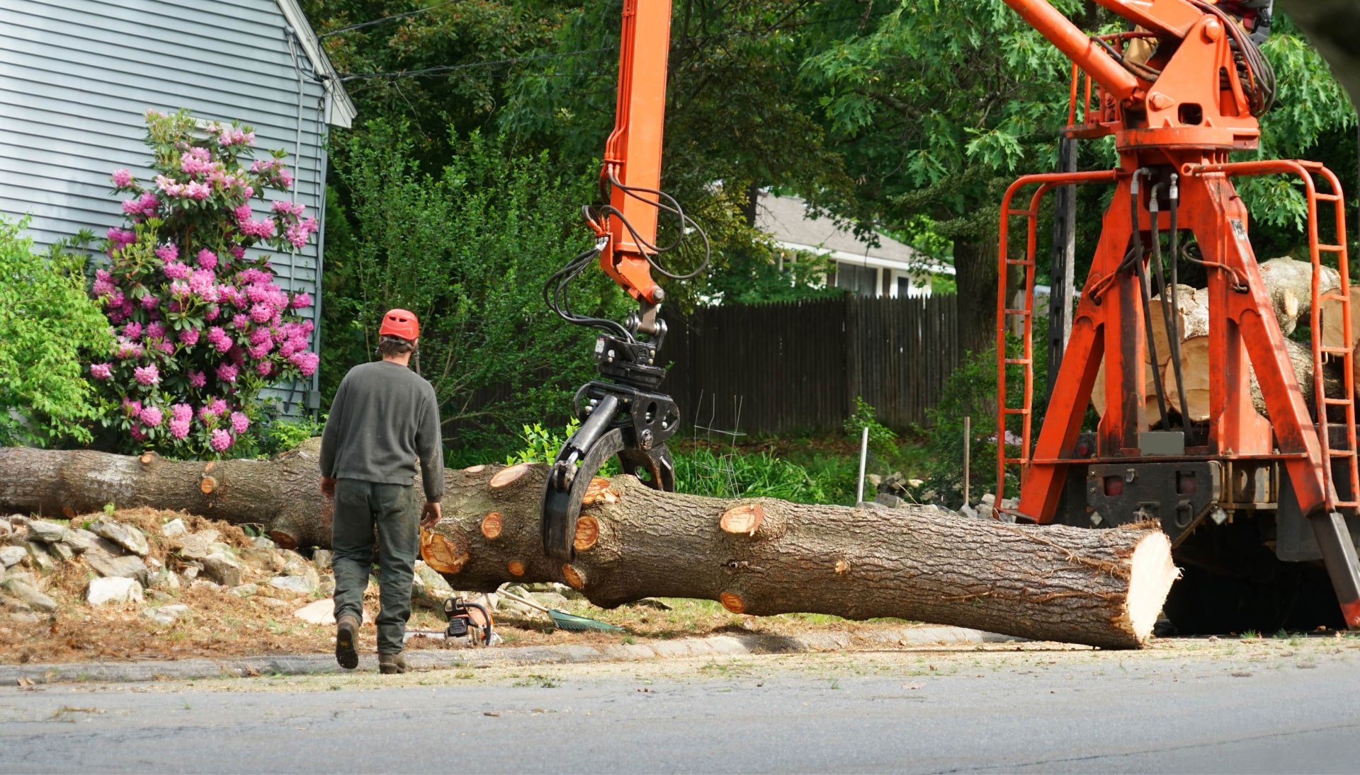 Local partner for Tree removal services in Northridge